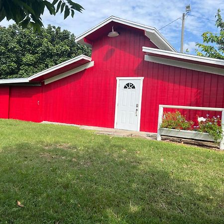 منزل الضيف هومستيد  في Maria'S Tiny Barn المظهر الخارجي الصورة